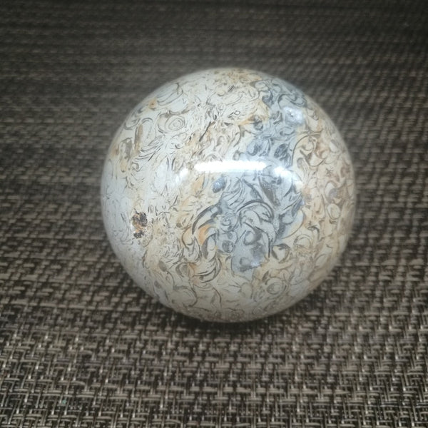 Yellow Dinosaur Bone Stone Ball-ToShay.org