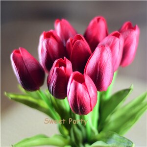 Tulip Flowers-ToShay.org