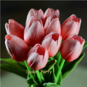 Tulip Flowers-ToShay.org