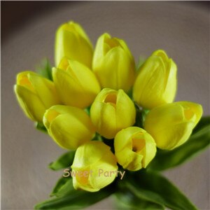 Tulip Flowers-ToShay.org