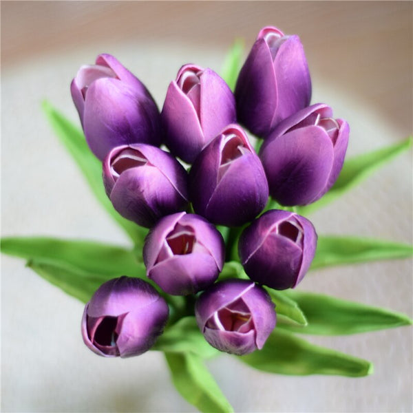 Tulip Flowers-ToShay.org