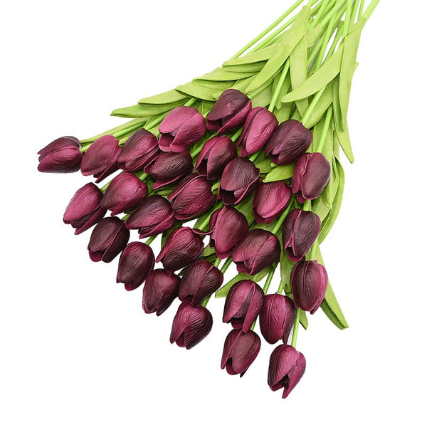 Tulip Flowers-ToShay.org