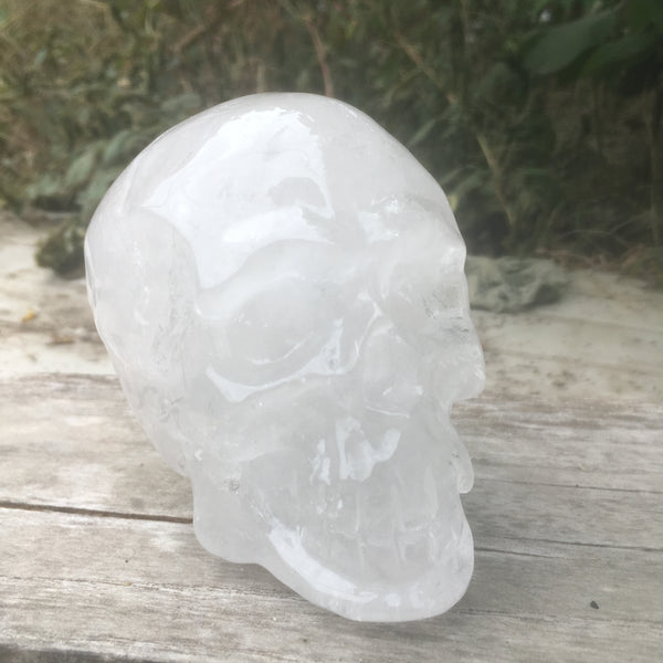 White Crystal Skull-ToShay.org