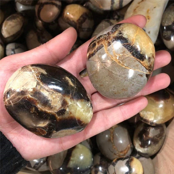 Yellow Septarian Palm Stone-ToShay.org