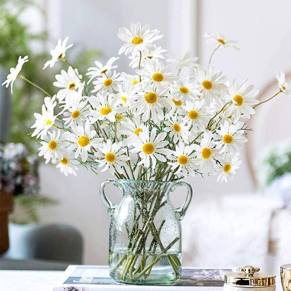 White Daisy Flower Bouquet-ToShay.org