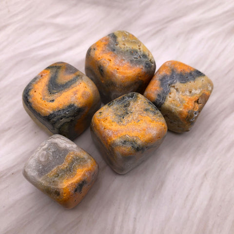 Yellow Bumblebee Jasper Stones-ToShay.org