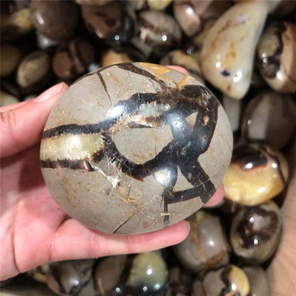 Yellow Septarian Palm Stone-ToShay.org