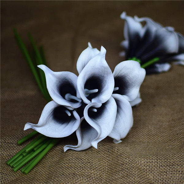 Black Calla Lilies-ToShay.org