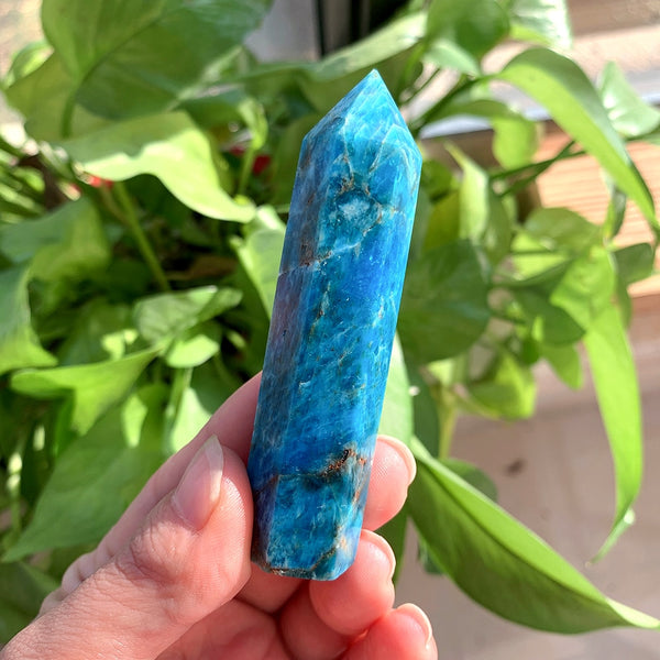 Blue Apatite Point-ToShay.org