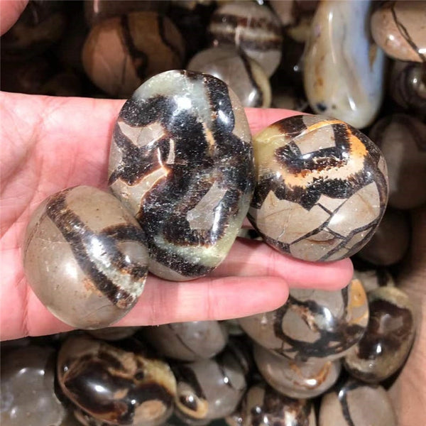 Yellow Septarian Palm Stone-ToShay.org