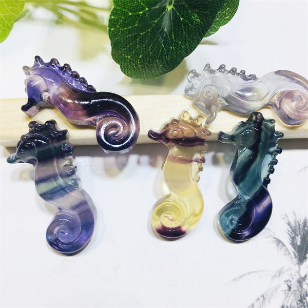 Purple Fluorite Seahorse-ToShay.org