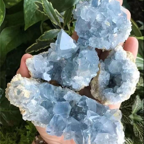 Blue Celestite Crystal Cluster-ToShay.org