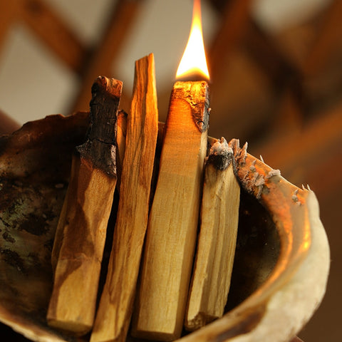 Palo Santo Incense Sticks-ToShay.org