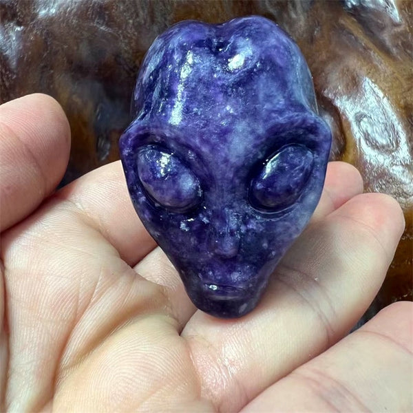 Mixed Crystal Alien Skull-ToShay.org