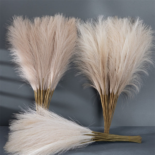 Pampas Grass-ToShay.org