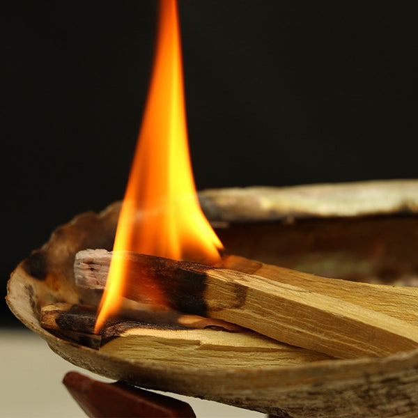 Palo Santo Incense Sticks-ToShay.org