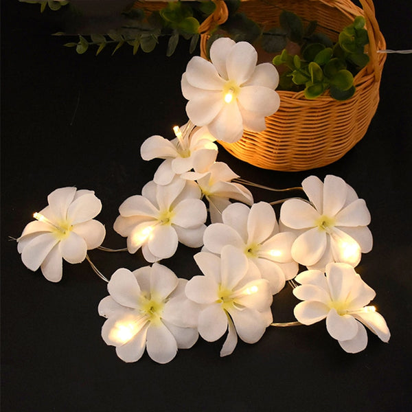 Frangipani Flower String Lights-ToShay.org