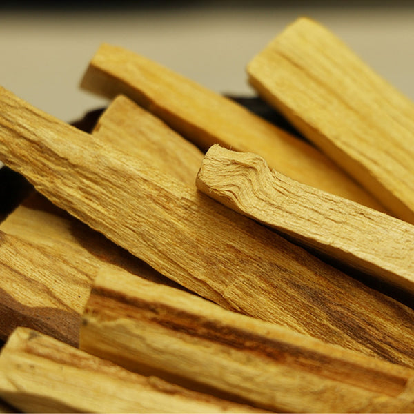 Palo Santo Incense Sticks-ToShay.org