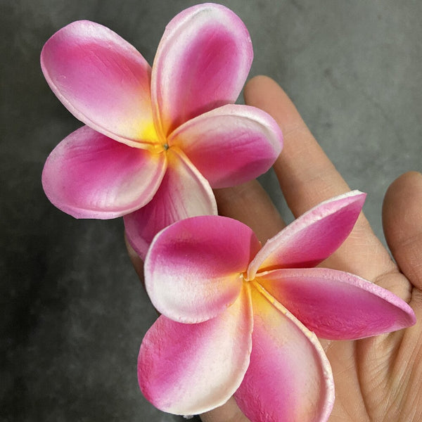 Frangipani Flower-ToShay.org