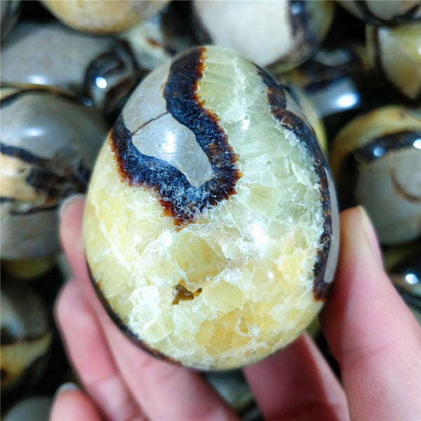 Yellow Septarian Dragon Egg-ToShay.org