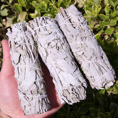 White Sage Bundles-ToShay.org