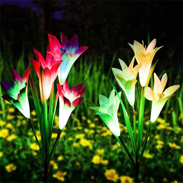 Solar Lily Flower Garden Lights-ToShay.org