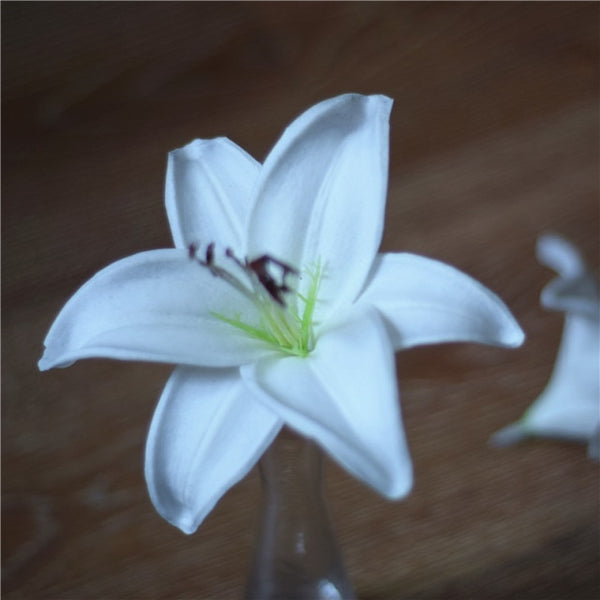 Tiger Lily Flowers-ToShay.org